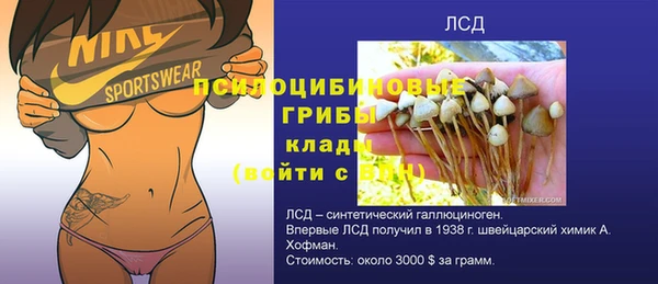 хмурый Козловка