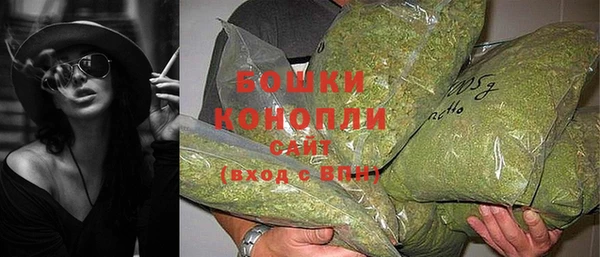 Альфа ПВП Корсаков