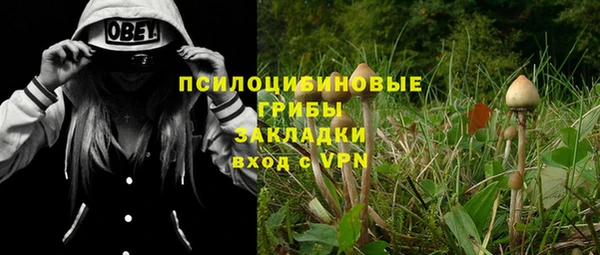 Альфа ПВП Козельск