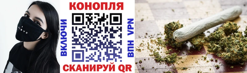 Купить Осташков Конопля семена